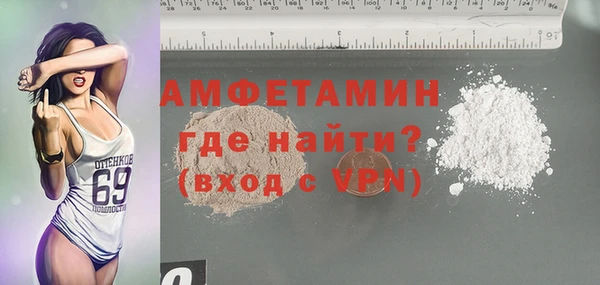индика Новокубанск