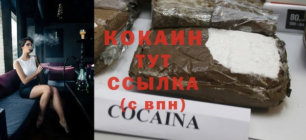 гидра Новодвинск