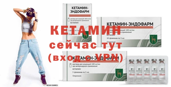 jwh Новозыбков