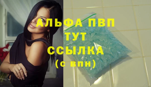 гидра Новодвинск