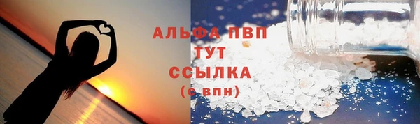 индика Новокубанск