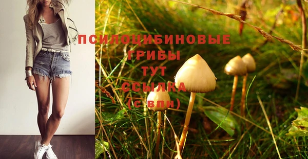 гидра Новодвинск