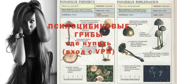 apvp Алексеевка