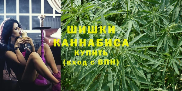 гидра Новодвинск