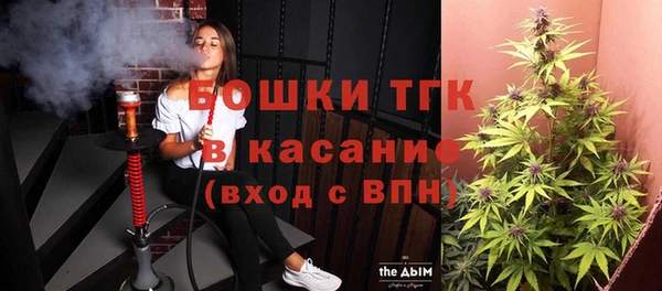 гидра Абаза