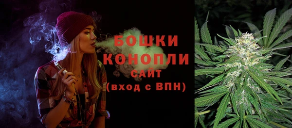 гидра Новодвинск