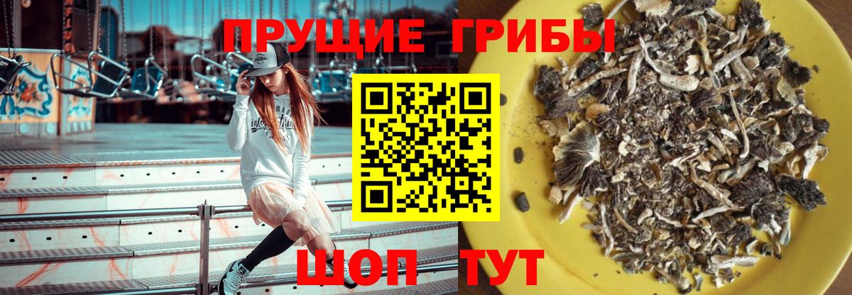 Псилоцибиновые грибы Psilocybine cubensis  Галлюциногенные грибы GOLDEN TEACHER  Вход с VPN  Южноуральск 